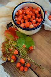 Similar image 13179948