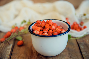 Similar image 13179968