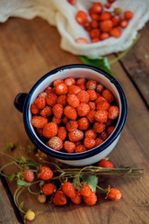 Similar image 13180048