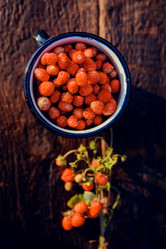 Similar image 13180064