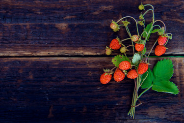 Similar image 13180065