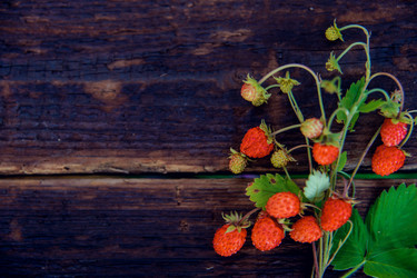 Similar image 13180066