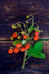 Similar image 13180067