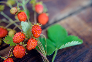 Similar image 13180083