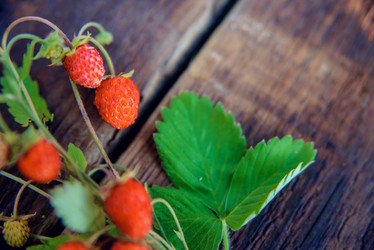 Similar image 13180084