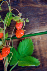 Similar image 13180085