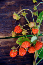 Similar image 13180086