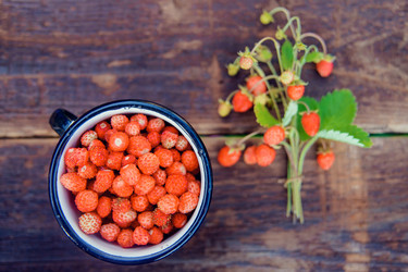 Similar image 13180087