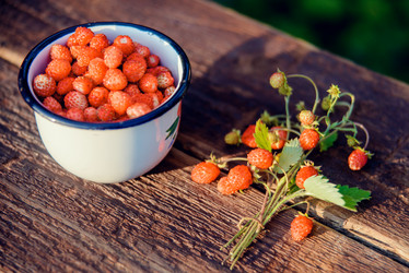 Similar image 13180088