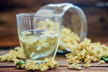 Similar image 13180106