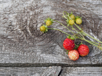 Similar image 13171794