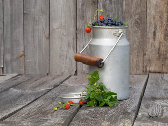 Similar image 13171795