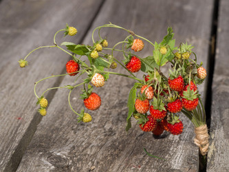 Similar image 13171796