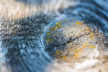 Similar image 13171797