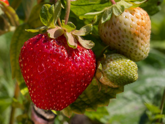 Similar image 13171798