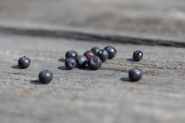 Similar image 13171800