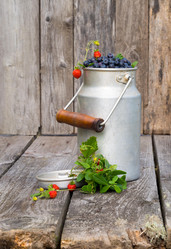 Similar image 13171802