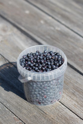 Similar image 13171803