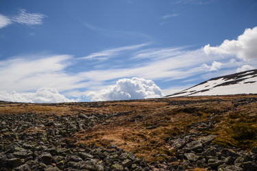 Similar image 13170837