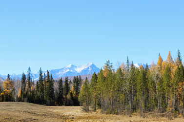 Similar image 13171471