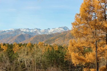 Similar image 13171473