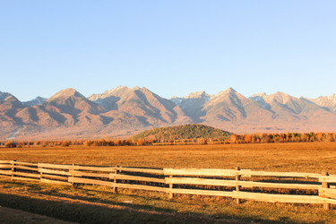 Similar image 13172894