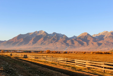 Similar image 13172903