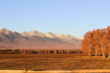 Similar image 13172905