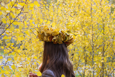 Similar image 13178409