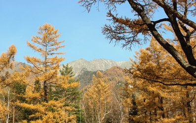 Similar image 13178428