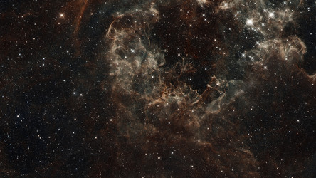 Similar image 13171944