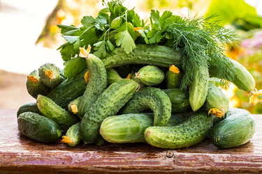 Similar image 13171818