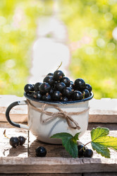 Similar image 13171838