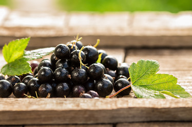 Similar image 13171839