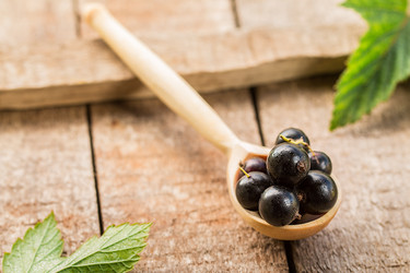 Similar image 13171841