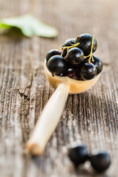 Similar image 13171842