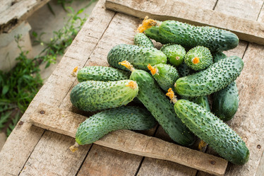 Similar image 13171845