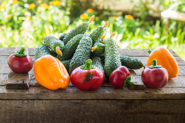 Similar image 13171846