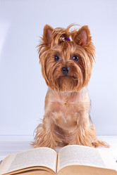 Similar image 13177734