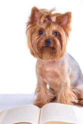 Similar image 13177735