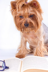 Similar image 13177736