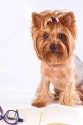 Similar image 13177753