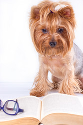 Similar image 13177798