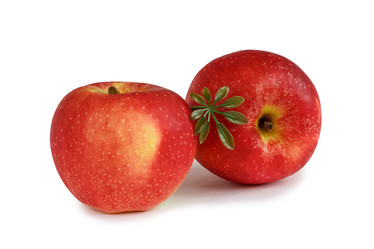 Similar image 13173171