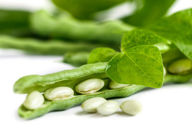 Similar image 13173179