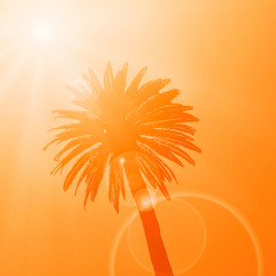 Similar image 13171554