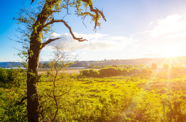 Similar image 13171562