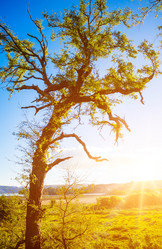 Similar image 13171573