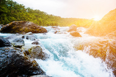 Similar image 13171592