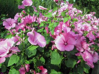 Similar image 13176961